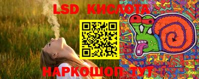 крисы Лесосибирск